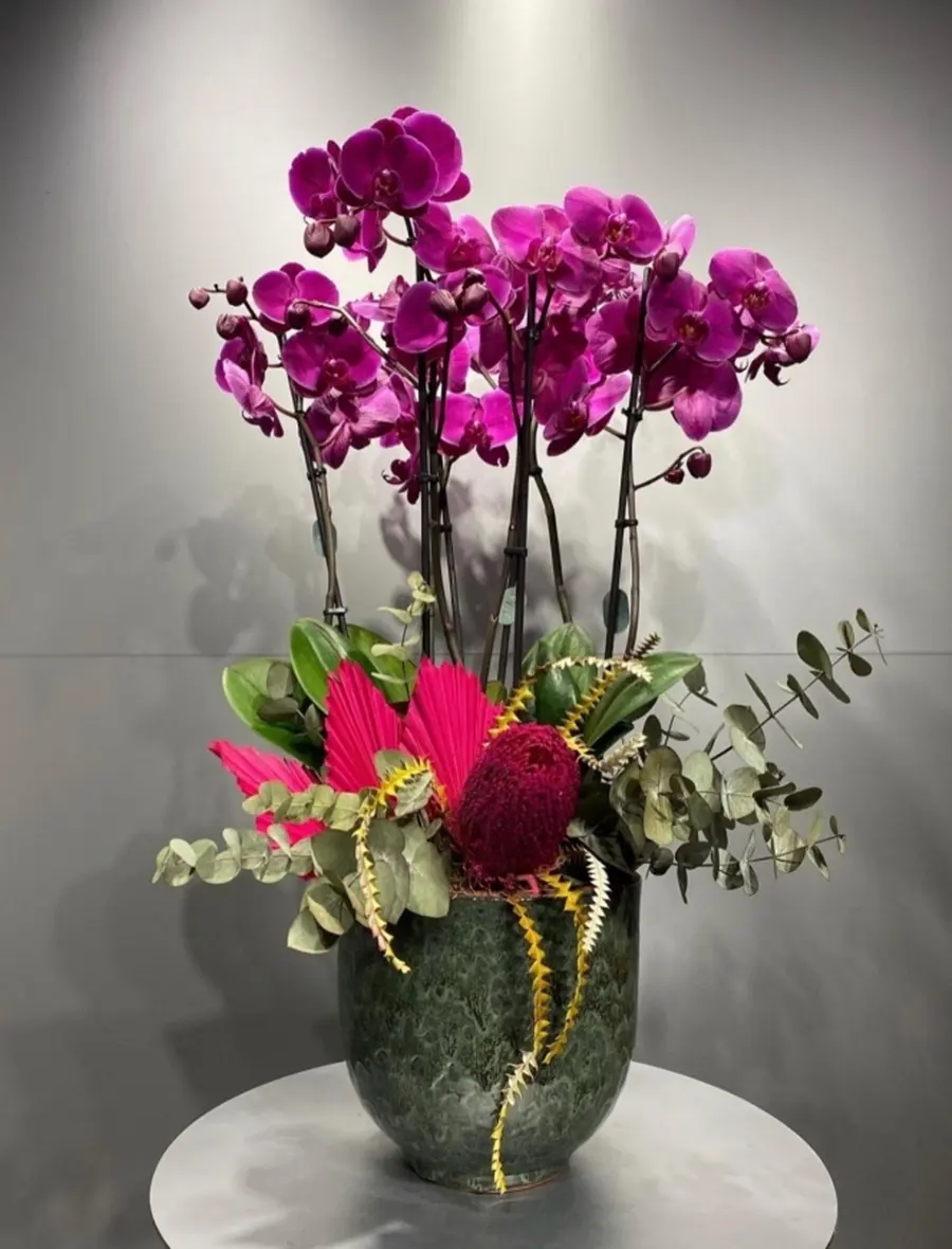 Orkide Aranjmanı